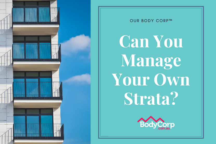 Can You Manage Your Strata Yourself? Self Managed Strata 2024