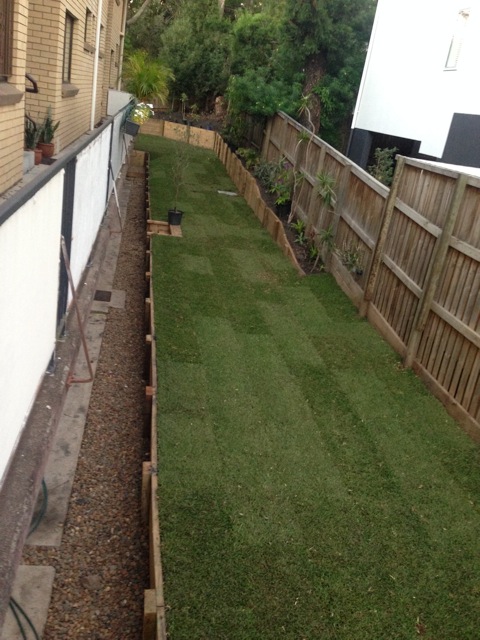 Ashgrove After
