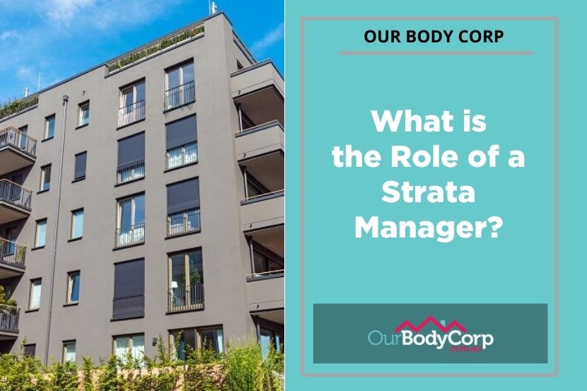 Difference Between Strata Body Corporate and Strata Title?